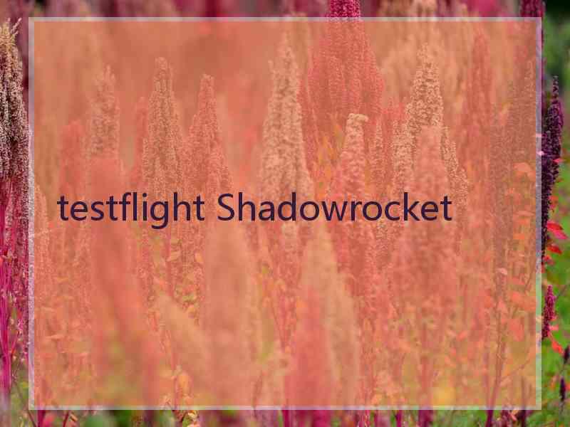 testflight Shadowrocket