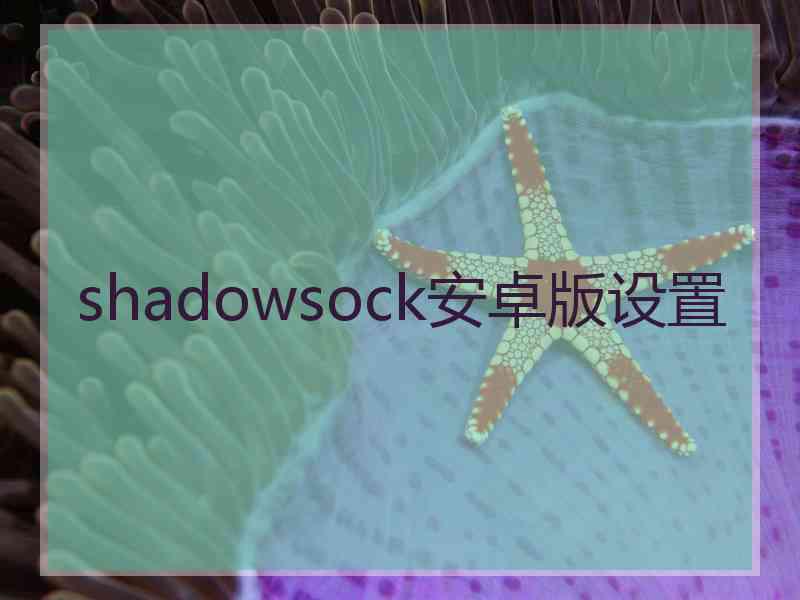 shadowsock安卓版设置