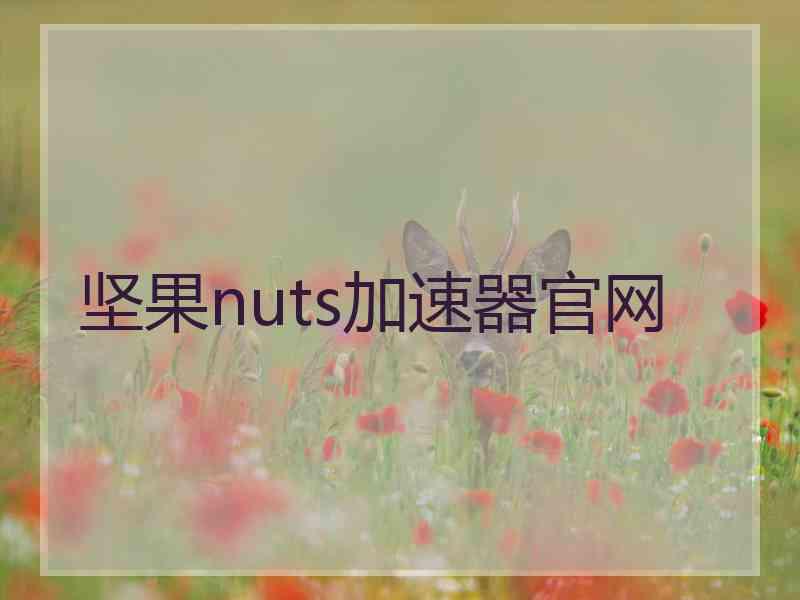 坚果nuts加速器官网