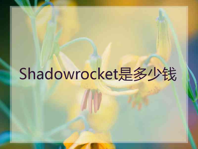 Shadowrocket是多少钱