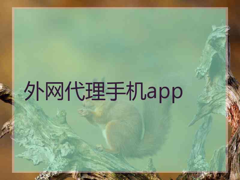 外网代理手机app