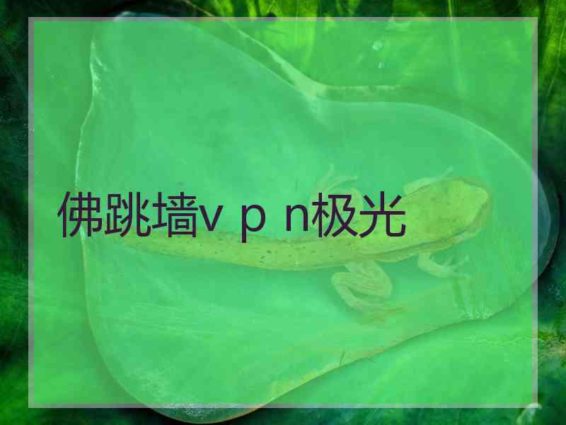 佛跳墙v p n极光