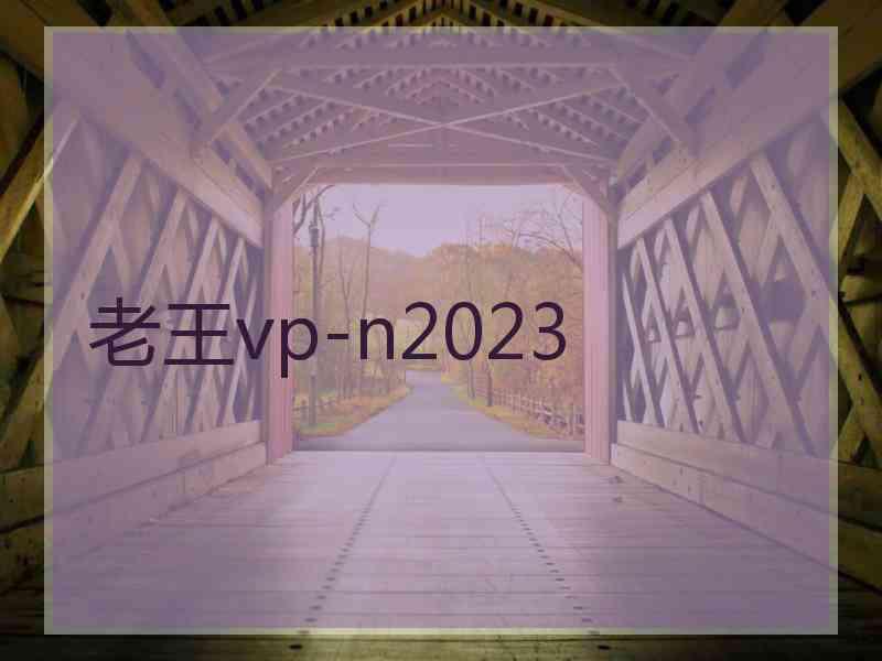 老王vp-n2023