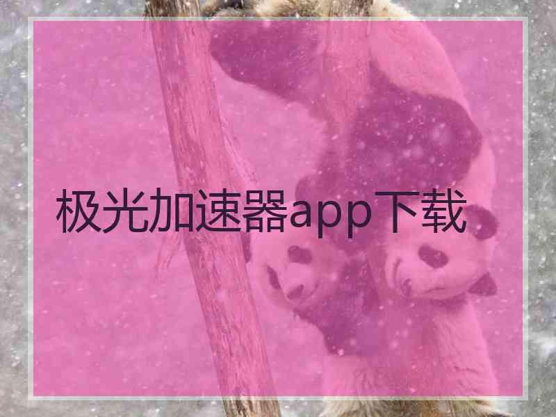 极光加速器app下载