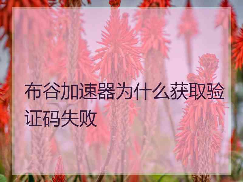 布谷加速器为什么获取验证码失败