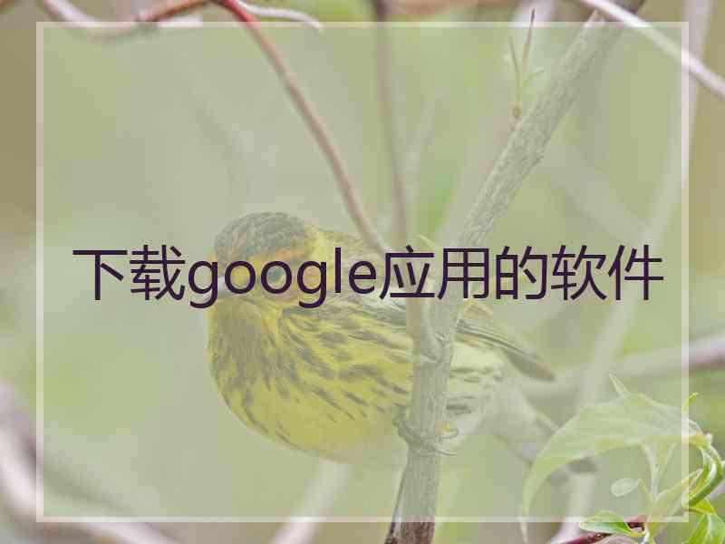 下载google应用的软件