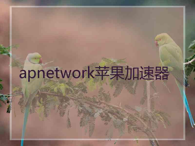 apnetwork苹果加速器