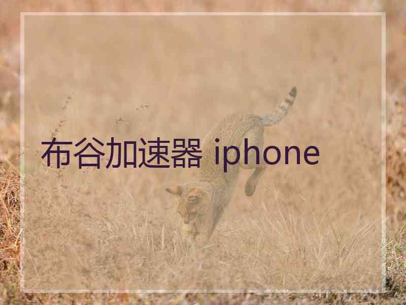 布谷加速器 iphone