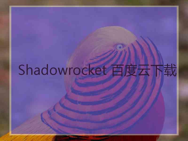 Shadowrocket 百度云下载