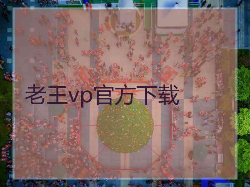 老王vp官方下载