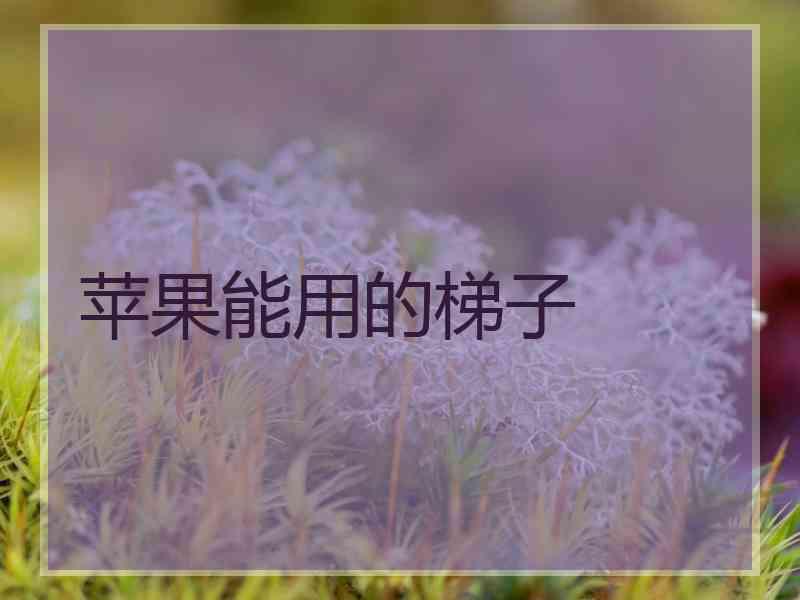 苹果能用的梯子