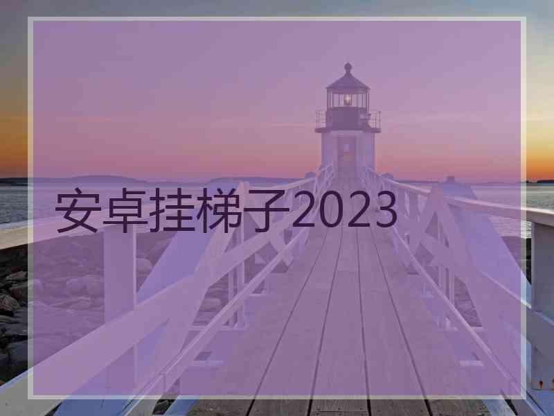 安卓挂梯子2023