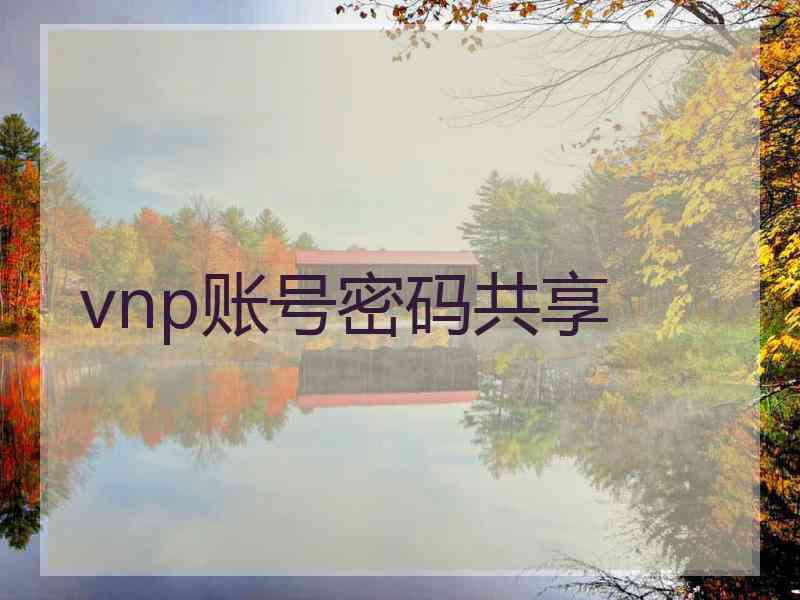 vnp账号密码共享