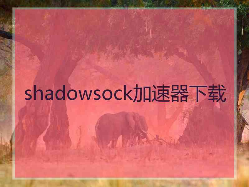 shadowsock加速器下载