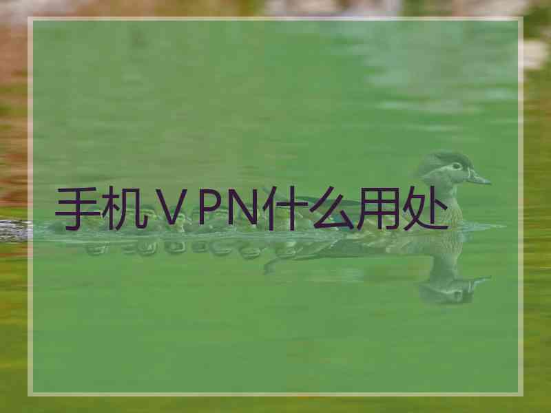 手机ⅤPN什么用处