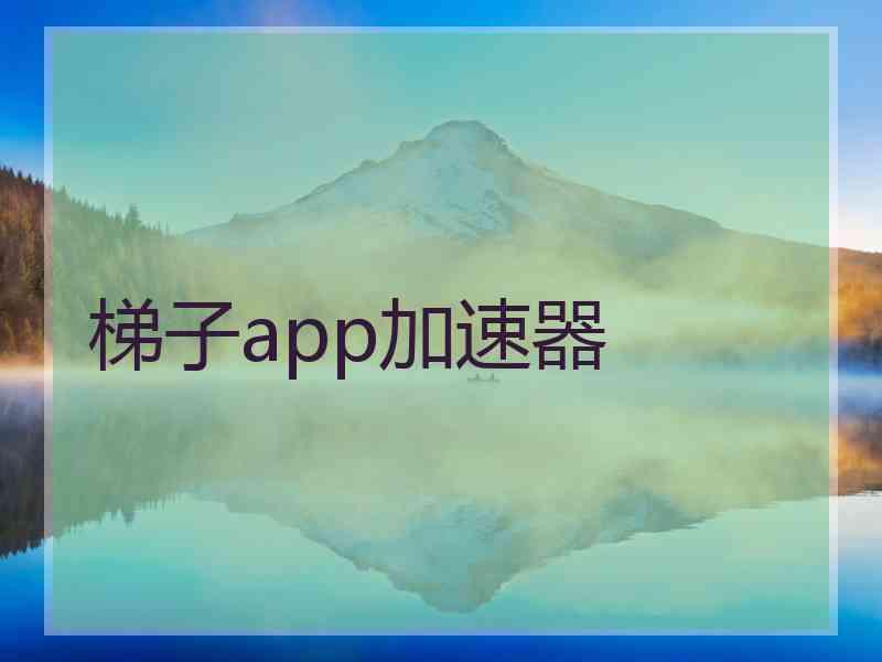 梯子app加速器