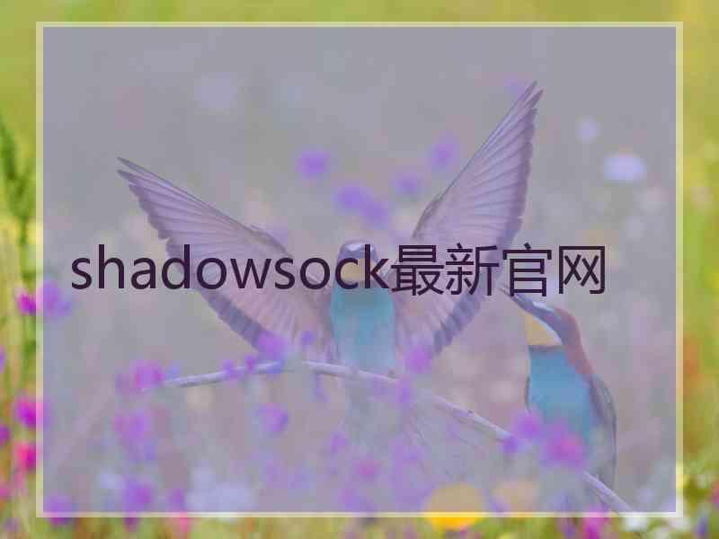 shadowsock最新官网