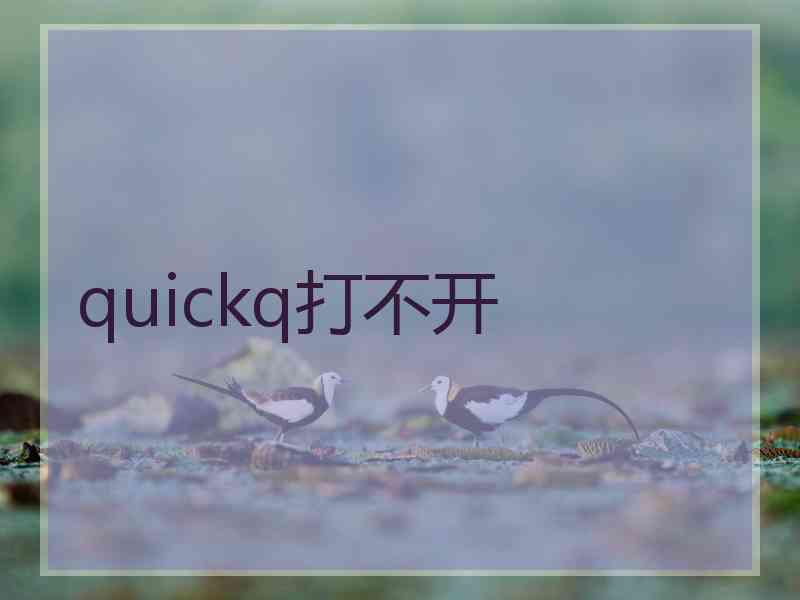 quickq打不开