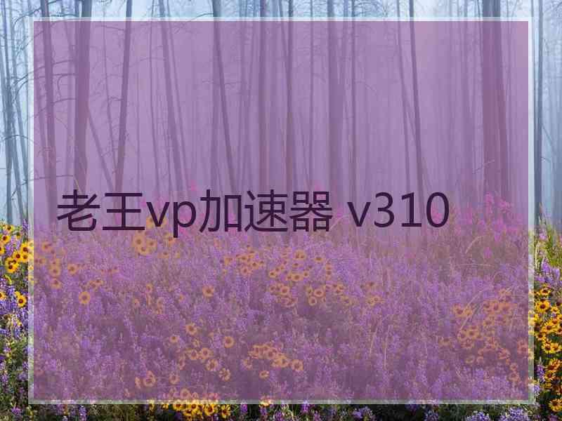 老王vp加速器 v310