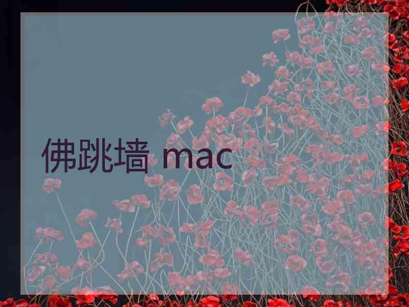 佛跳墙 mac