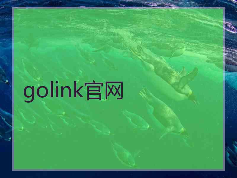 golink官网