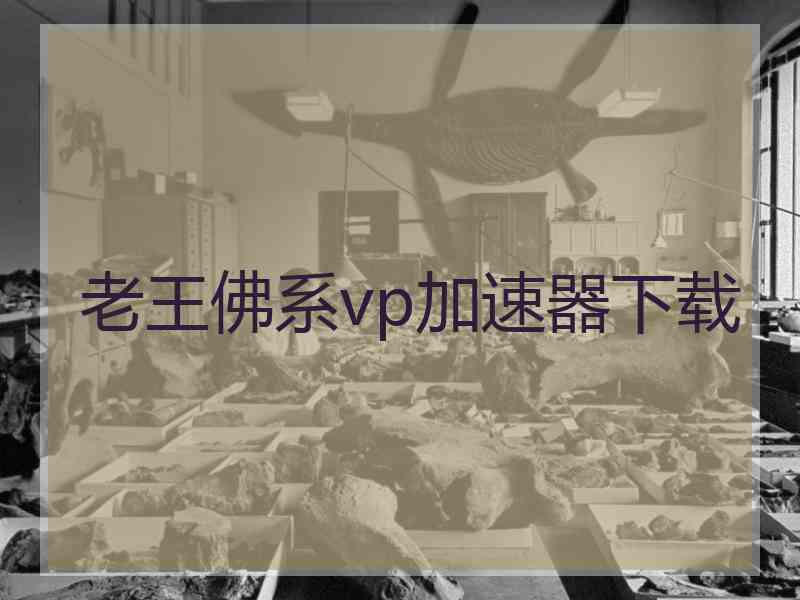 老王佛系vp加速器下载