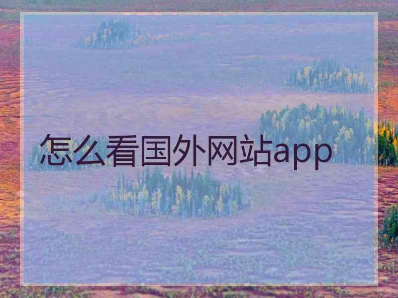 怎么看国外网站app