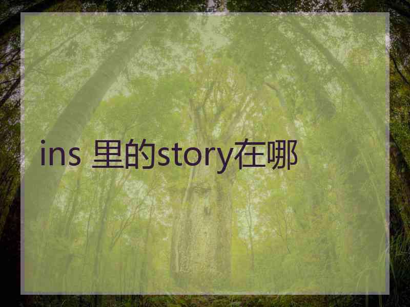 ins 里的story在哪