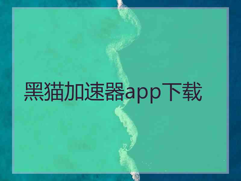 黑猫加速器app下载