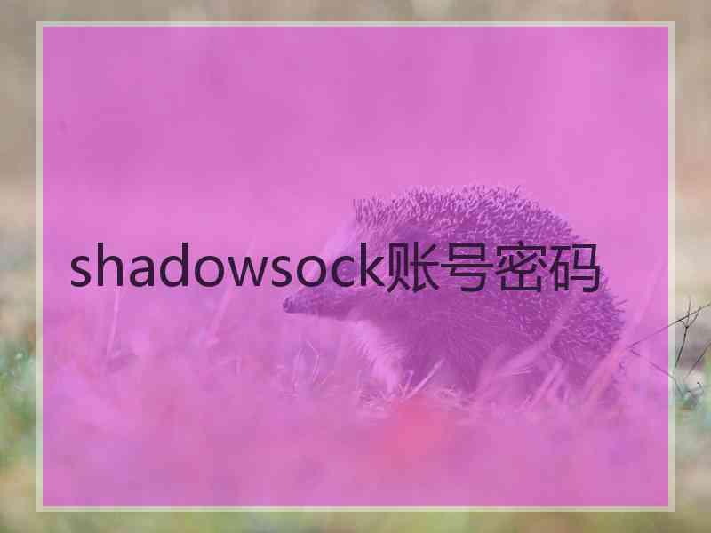 shadowsock账号密码