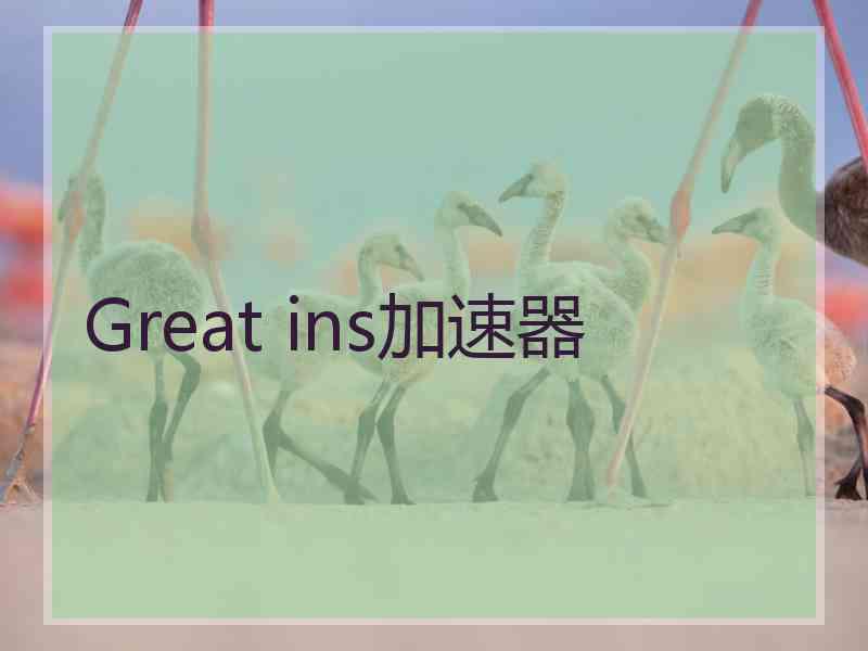 Great ins加速器