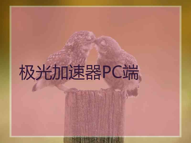 极光加速器PC端