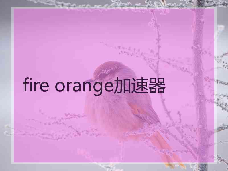 fire orange加速器