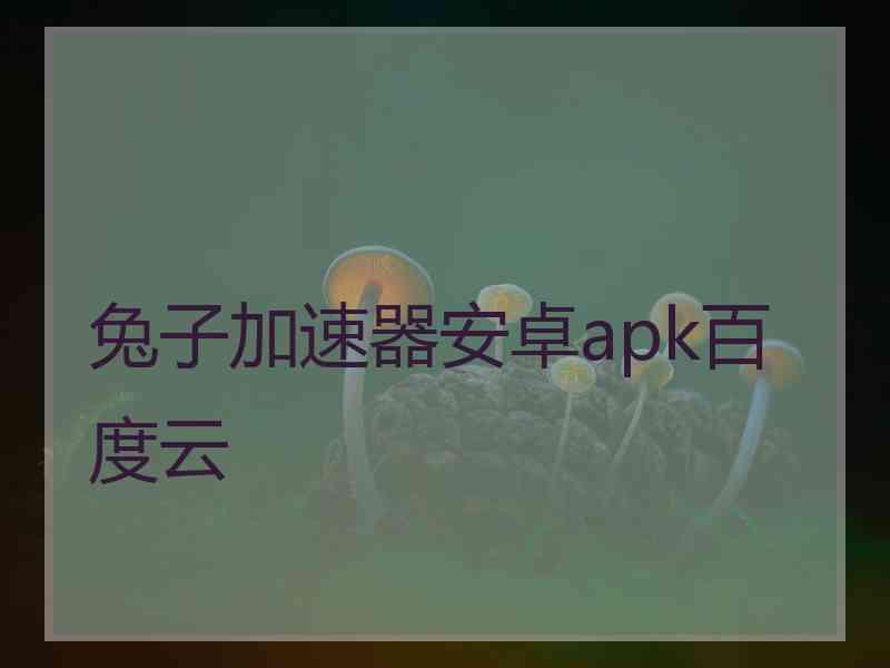 兔子加速器安卓apk百度云