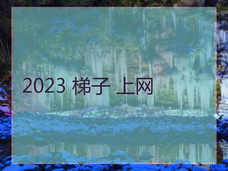 2023 梯子 上网