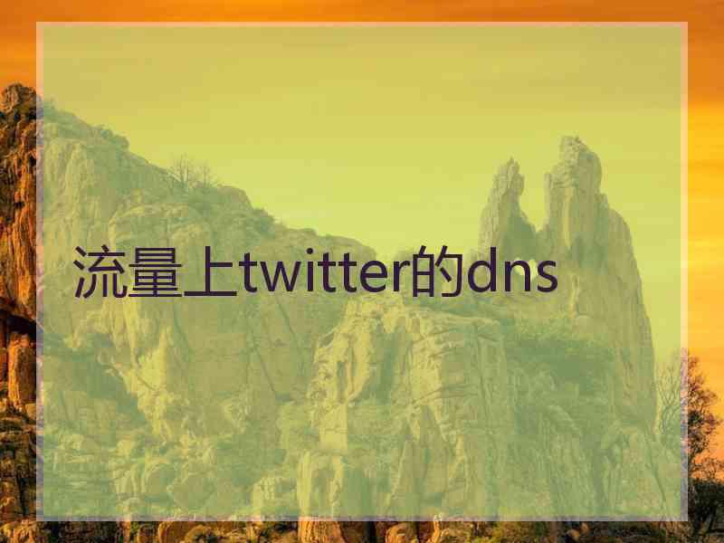 流量上twitter的dns