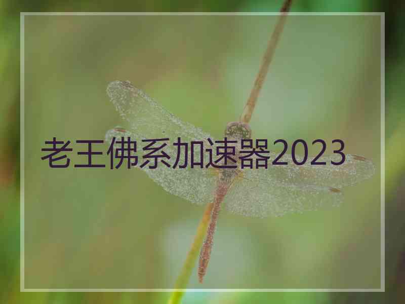 老王佛系加速器2023