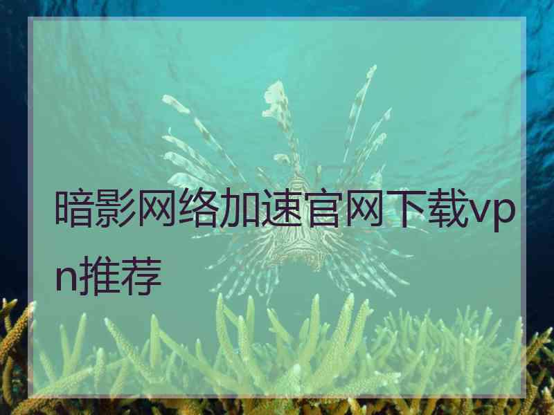 暗影网络加速官网下载vpn推荐