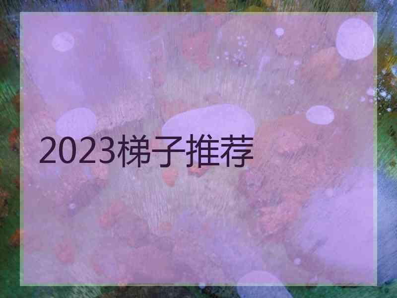 2023梯子推荐