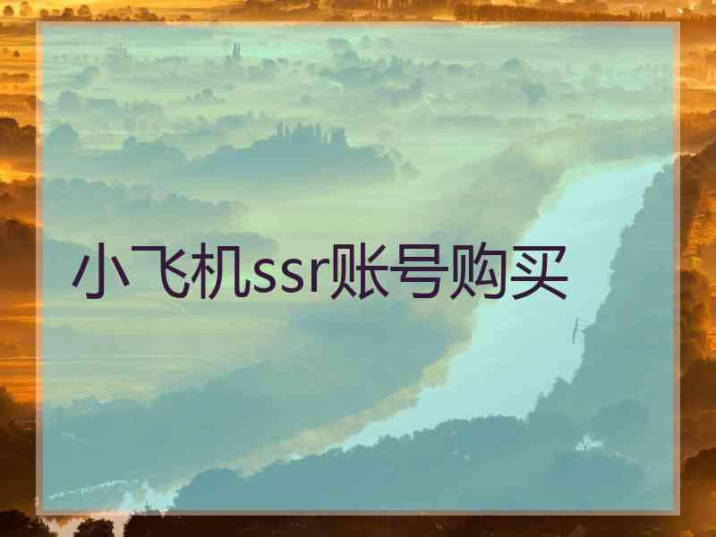 小飞机ssr账号购买