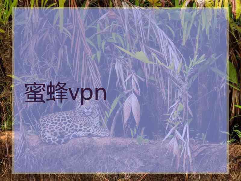 蜜蜂vpn