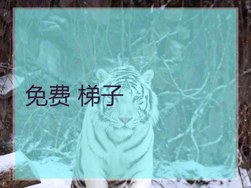 免费 梯子