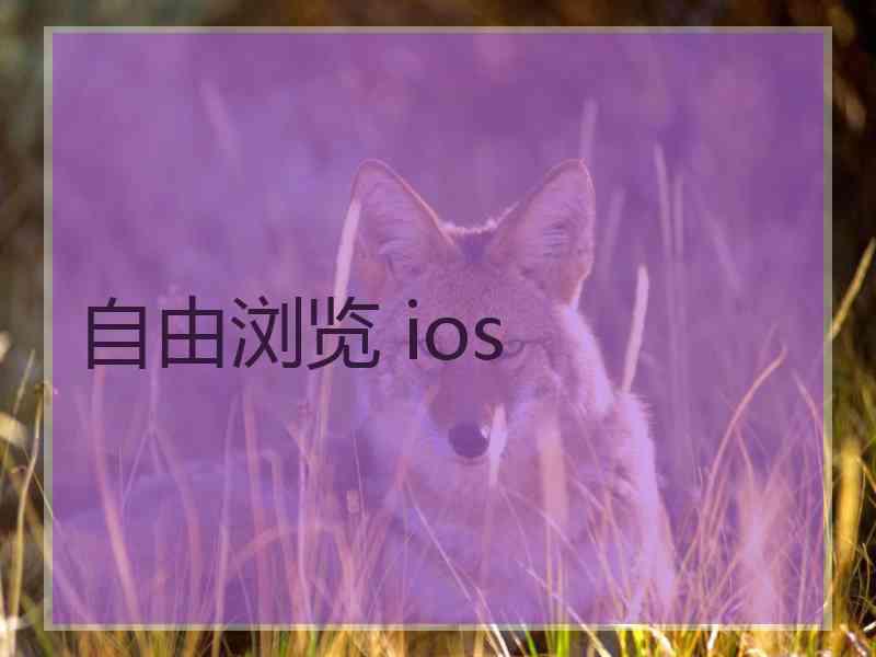 自由浏览 ios