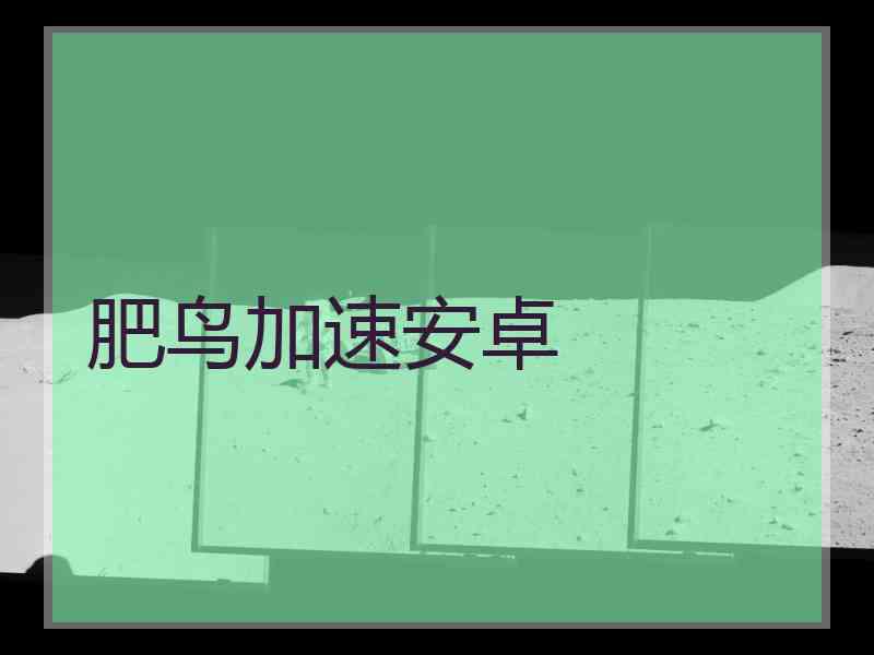 肥鸟加速安卓