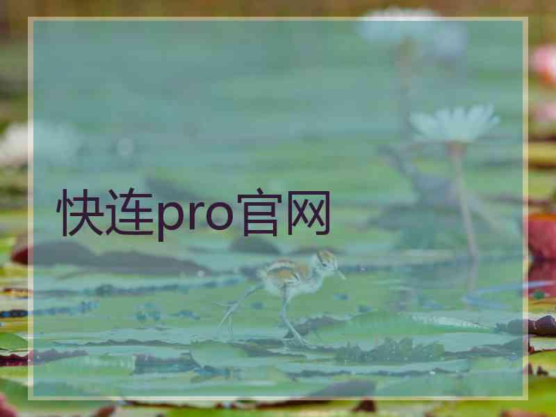 快连pro官网