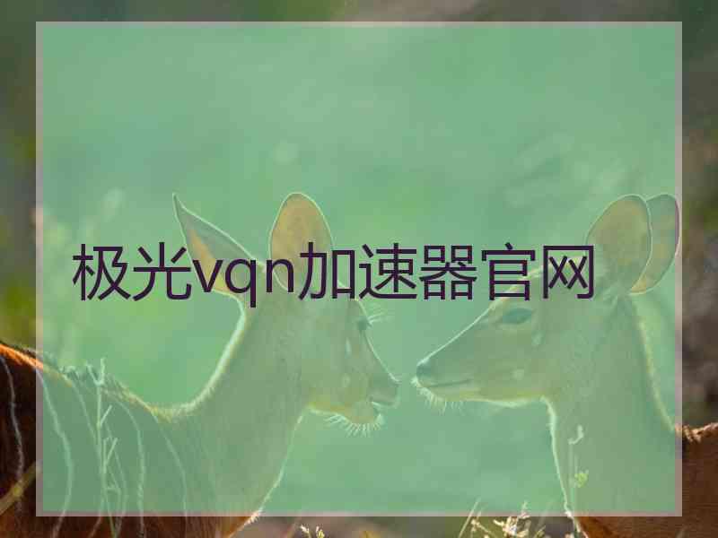 极光vqn加速器官网