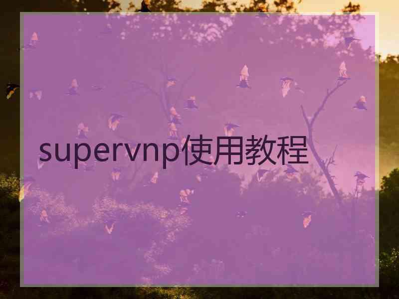 supervnp使用教程