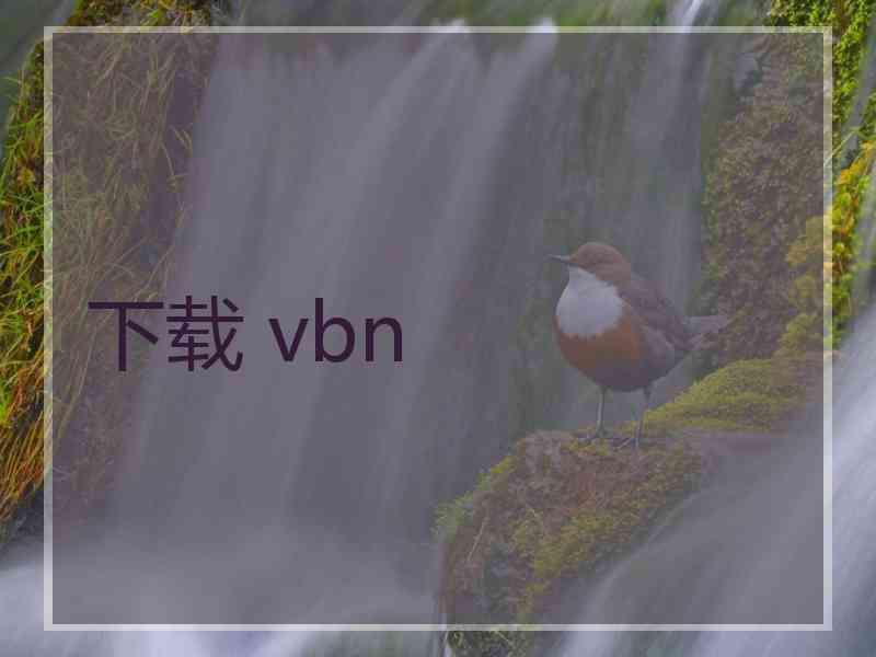 下载 vbn