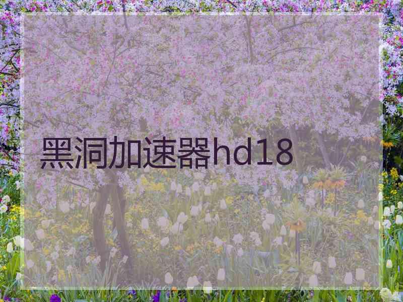 黑洞加速器hd18