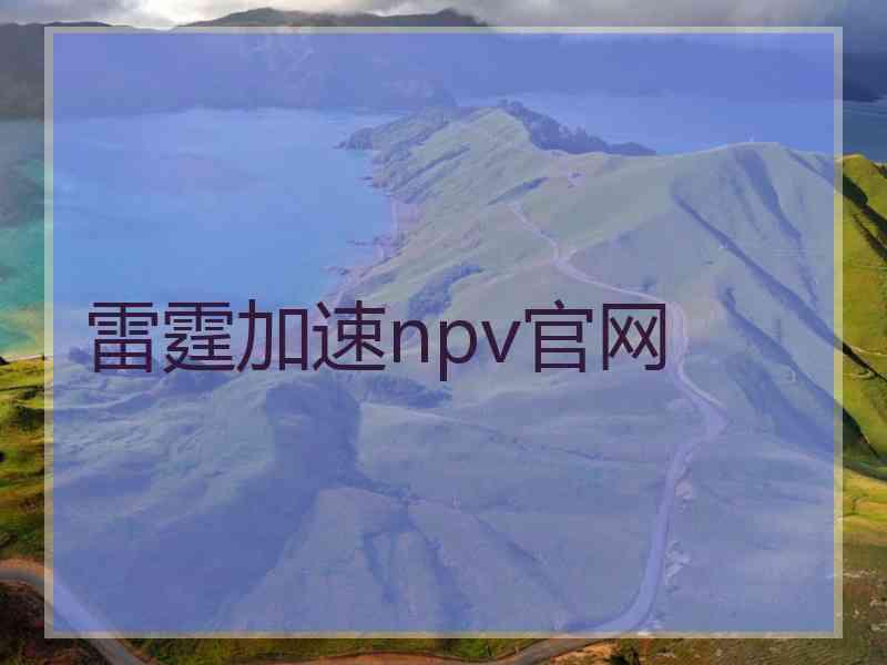 雷霆加速npv官网